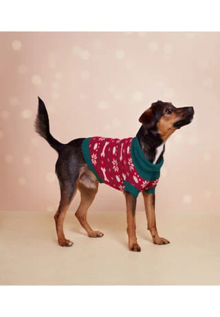 SIX Hunde Accessoire Winterliches Muster 6 SIX Hunde Accessoire Winterliches Muster – Bild 4