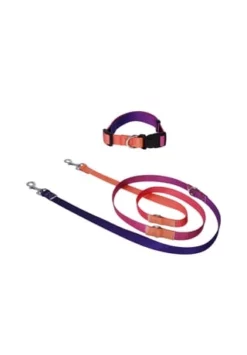 SIX Hunde-Halsband Mit Leine