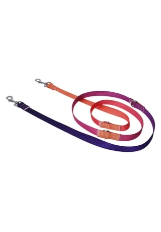 SIX Hunde-Halsband Mit Leine 4 SIX Hunde-Halsband Mit Leine – Bild 2