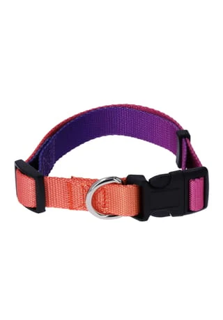 SIX Hunde-Halsband Mit Leine 5 SIX Hunde-Halsband Mit Leine – Bild 3