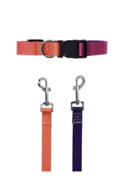 SIX Hunde-Halsband Mit Leine 11 SIX Hunde-Halsband Mit Leine -WOHN-ESSZIMMER Verkäufe unnamed file 1417