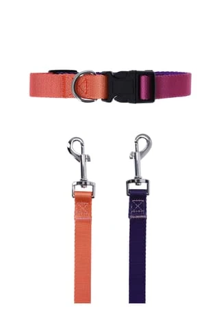 SIX Hunde-Halsband Mit Leine 6 SIX Hunde-Halsband Mit Leine – Bild 4