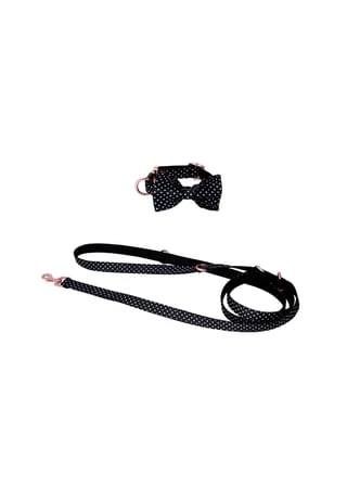 SIX Hunde-Halsband Mit Schleife Und Leine 3 SIX Hunde-Halsband Mit Schleife Und Leine