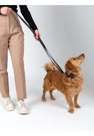 SIX Hunde-Halsband Mit Schleife Und Leine 8 SIX Hunde-Halsband Mit Schleife Und Leine – Bild 6