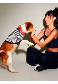 SIX Verstellbares Hundehalsband In Bandanaoptik -WOHN-ESSZIMMER Verkäufe unnamed file 1446