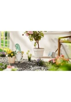 PURE DAY Pflanzentopf Zwerg Mit Blume Bunt -WOHN-ESSZIMMER Verkäufe unnamed file 2049