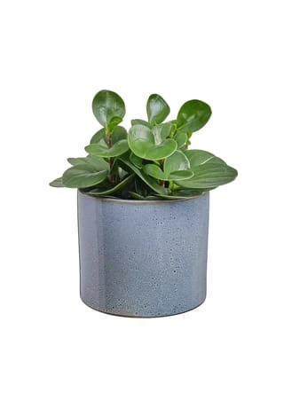 BUTLERS® GLAZE Blumentopf Glasiert Ø17cm 4 BUTLERS® GLAZE Blumentopf Glasiert Ø17cm – Bild 2