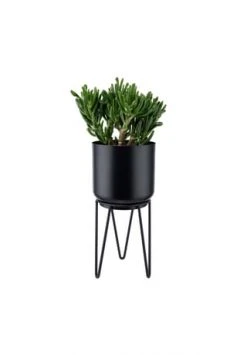 BUTLERS® PLANTA Pflanztopf Mit Gestell Höhe 28cm 9 BUTLERS® PLANTA Pflanztopf Mit Gestell Höhe 28cm -WOHN-ESSZIMMER Verkäufe unnamed file 2088