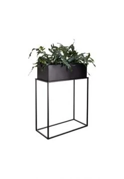 BUTLERS® PLANTA Pflanzkasten Mit Gestell B 55 X T 25cm Schwarz 10 BUTLERS® PLANTA Pflanzkasten Mit Gestell B 55 X T 25cm Schwarz -WOHN-ESSZIMMER Verkäufe unnamed file 2153