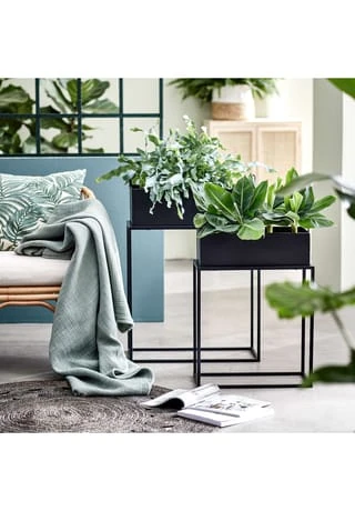 BUTLERS® PLANTA Pflanzkasten Mit Gestell B 45 X T 21cm Schwarz 4 BUTLERS® PLANTA Pflanzkasten Mit Gestell B 45 X T 21cm Schwarz – Bild 2