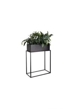 BUTLERS® PLANTA Pflanzkasten Mit Gestell B 45 X T 21cm Schwarz 10 BUTLERS® PLANTA Pflanzkasten Mit Gestell B 45 X T 21cm Schwarz -WOHN-ESSZIMMER Verkäufe unnamed file 2159